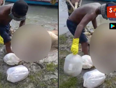 बंगाल में तस्करी के लिए मृत जानवरों का इस्तेमाल, पेट में छुपा कर ले जाए जा रहे थे मछली के अंडे