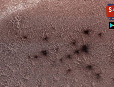 Spiders on Mars : मंगळावर ‘कोळी’चं अस्तित्व, संशोधकांच्या अभ्यासात Mars Mission ट्विस्ट