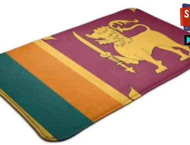 Colombo irked over China-made Sri Lankan flag doormat, raises matter with Beijing