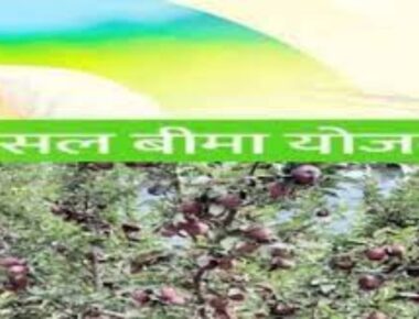 विधानसभा बजट सत्र: फसल बीमा योजनाओं के नाम पर किसानों से धोखाधड़ी, सदन में गूंजा मामला