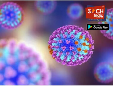H3N2 Influenza Virus: भारत में इन्फ्लुएंजा वायरस से हुई दो मौतें, कर्नाटक और हरियाणा में गई जान