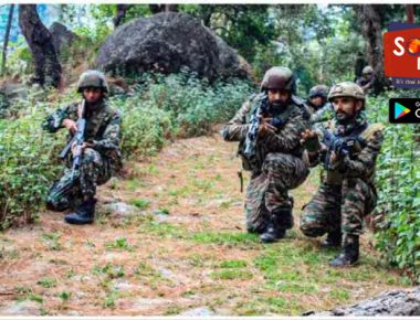 3 J&K Government Officials Sacked For Terror Links; 2 Infiltrators Shot Dead