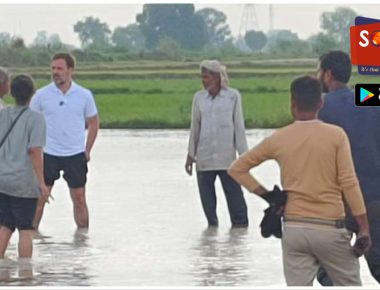 राहुल गांधी ने की धान की रोपाई, हिमाचल प्रदेश जाते वक्त रास्ते में ही कार से उतरे