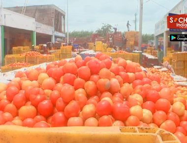 आवक घटने से 300 रुपये प्रति किलोग्राम तक जा सकता है टमाटर: थोक कारोबारी