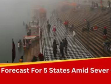 Weather Update: IMD Predicts Severe Cold, Dense Fog In Uttar Pradesh, Heavy Snowfall Likely In Kashmir