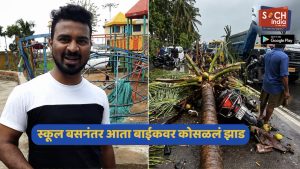 स्कूलबसनंतर आता धावत्या बाईकवर कोसळलं झाड, 35 वर्षीय तरुणाने सोडला प्राण; मिरा-भाईंदरमध्ये वेदनादायी घटना!