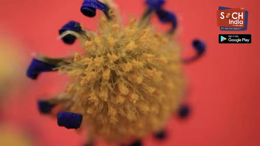 Chandipura virus in Gujarat: 22 children die; 35 cases confirmed