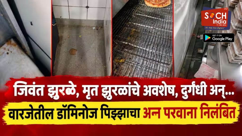 Pune FDA Action: जिवंत झुरळं, मृत झुरळांचे अवशेष, दुर्गंधी अन्…,वारजेतील डॉमिनोज पिझ्झाचा अन्न परवाना निलंबित, मुलांना डॉमिनोझ पिझ्झा खाऊ घालण्याआधी हे पाहाच