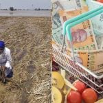 El Nino Impact : जगात उपासमारीची भीती; महागाईनं काळजाचा ठोका चुकवला, LPG नंतर आता अन्नधान्याच्या दरांचा रेकॉर्ड उच्चांक