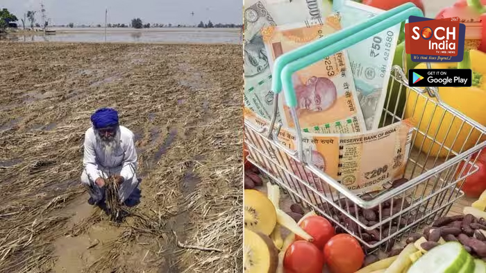 El Nino Impact : जगात उपासमारीची भीती; महागाईनं काळजाचा ठोका चुकवला, LPG नंतर आता अन्नधान्याच्या दरांचा रेकॉर्ड उच्चांक
